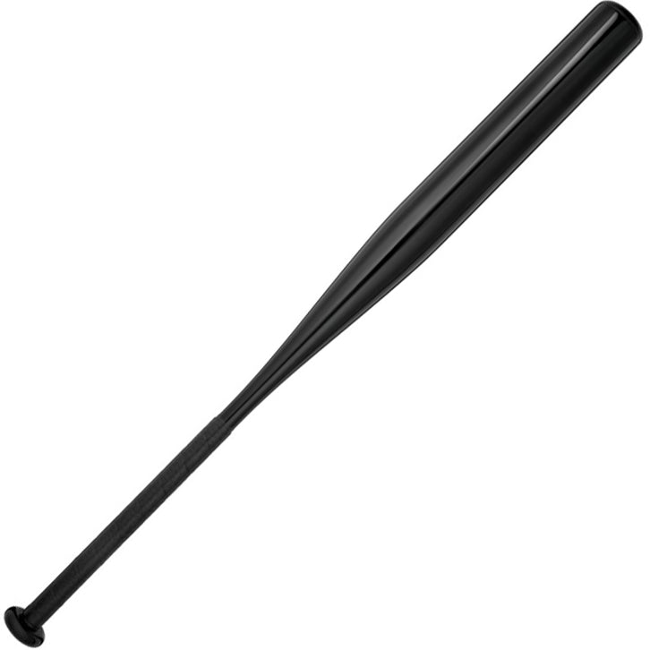 Mizuno CRBN1 Cage Bat (-10) Fastpitch Softball Bat: 340655