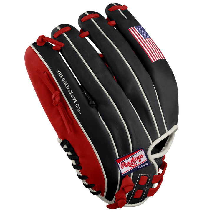 Rawlings Heart of the Hide 12" USA DSG Exclusive Fastpitch Glove: PRO120SB-18NSWDSG