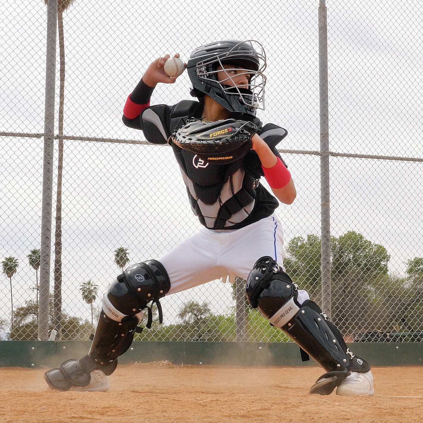 Catcher Shin Guards with Dupont™ Kevlar®