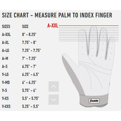 What Pros Wear: Jeremy Peña's Franklin CFX Pro Batting Gloves